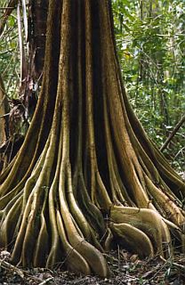 Путь силы. Достижение гармонии духа и тела - _32.jpg