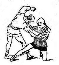 Борьба самбо - img_69.jpg