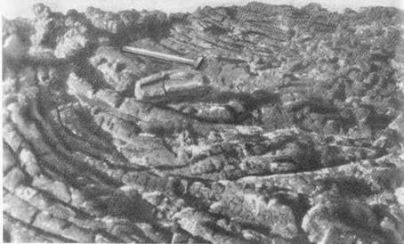 По ту сторону ночи - i_032.jpg