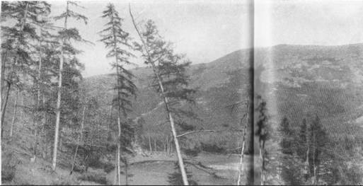 По ту сторону ночи - i_036.jpg