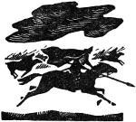 После града - i_004.jpg