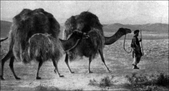 Неизведанный Гиндукуш - imgA721.jpg