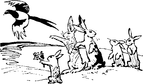 Три сказки и еще одна - pic_21.png