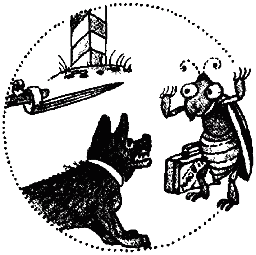 Химический язык насекомых - _112.png