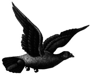 Там, где не слышно голоса - i_001.png