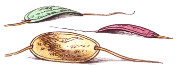 Там, где не слышно голоса - i_143.png