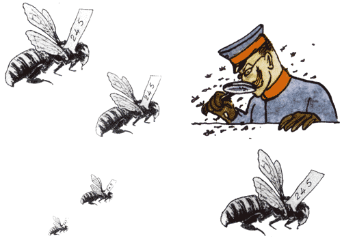 Там, где не слышно голоса - i_208.png