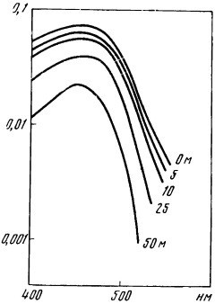 Свет в море - i_051.jpg