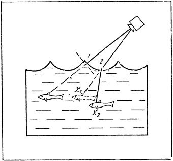 Свет в море - i_075.jpg