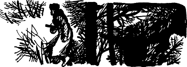 На фронте затишье… - img_10.png