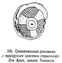 История свастики с древнейших времен до наших дней - i_297.jpg