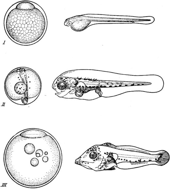 Записки натуралиста - i_008.jpg