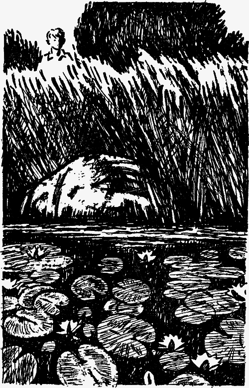 Футбол - nonjpegpng__6.png