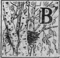 Зеленая книга леса - i_012.png