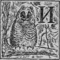 Зеленая книга леса - i_017.png