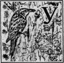 Зеленая книга леса - i_039.png