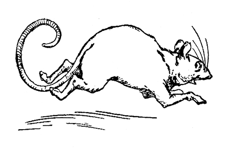 Бравый Дед в Стране Оз - pic.0078.jpg