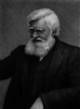 Тропическая природа - pic_1.png