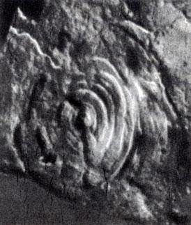 История Земли - img_40.jpeg