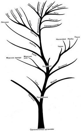 История Земли - img_43.jpeg