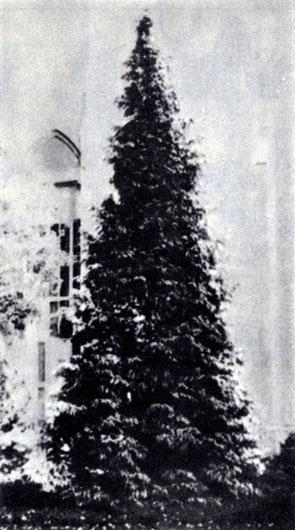 История Земли - img_47.jpeg