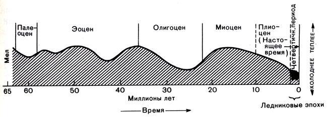 История Земли - img_119.jpeg