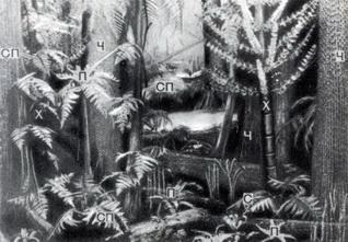 История Земли - img_71.jpeg