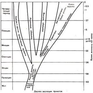 История Земли - img_147.jpeg