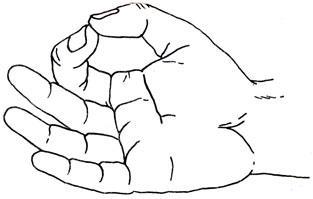 История Земли - img_148.jpeg