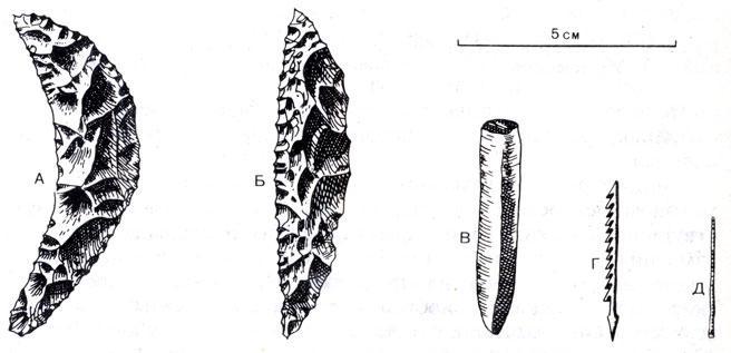 История Земли - img_163.jpeg