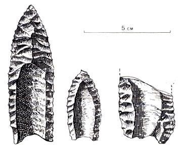 История Земли - img_169.jpeg