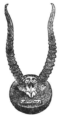 Охотничье-промысловые звери и трофеи - i_004.png