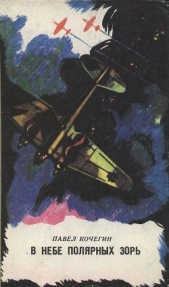 В небе полярных зорь - автор Кочегин Павел Захарович 