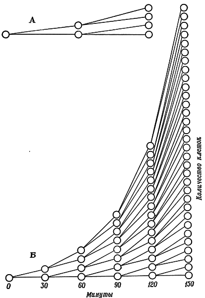 Путешествие в страну микробов - n_09.png