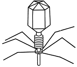 Путешествие в страну микробов - n_30.png