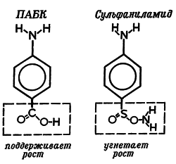 Путешествие в страну микробов - n_45.png