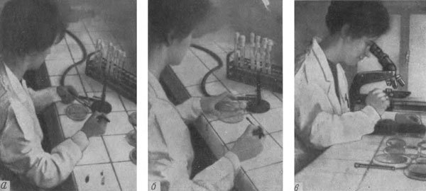 Путешествие в страну микробов - n_01.jpg