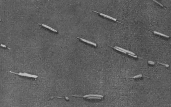 Путешествие в страну микробов - n_43.jpg