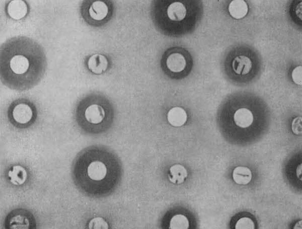 Путешествие в страну микробов - n_61.jpg