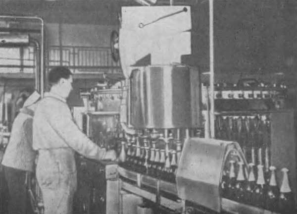 Путешествие в страну микробов - n_68.jpg