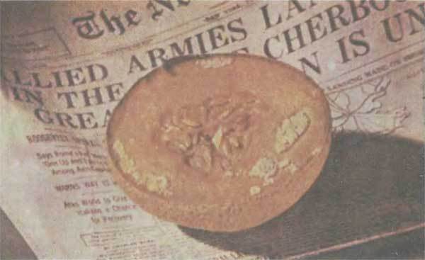 Путешествие в страну микробов - n_79.jpg