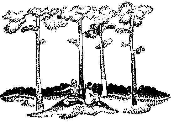 Сияние Каракума (сборник) - i_008.png