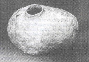 Археологические путешествия по Тюмени и ее окрестностям - i_018.jpg