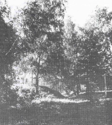 Археологические путешествия по Тюмени и ее окрестностям - i_022.jpg