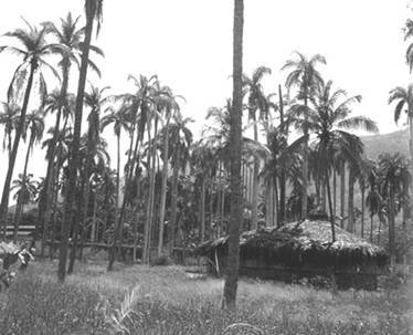 Города майя и ацтеков - pic_51.jpg