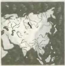 Шеренга великих путешественников - i_044.jpg