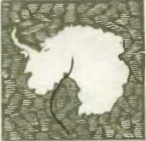 Шеренга великих путешественников - i_133.jpg