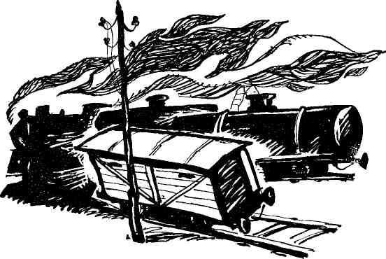 Звезда Егорова - img_4.jpeg