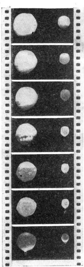 Капля - _21.jpg