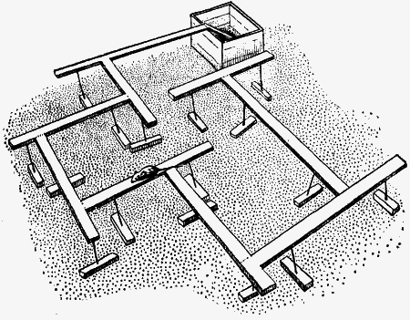 Думают ли животные? - i_002.png